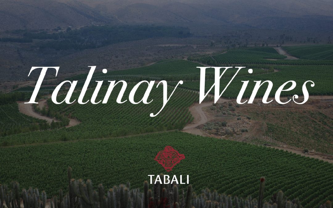 Vinos de Talinay:  Viñedos excepcionales, Vinos excepcionales