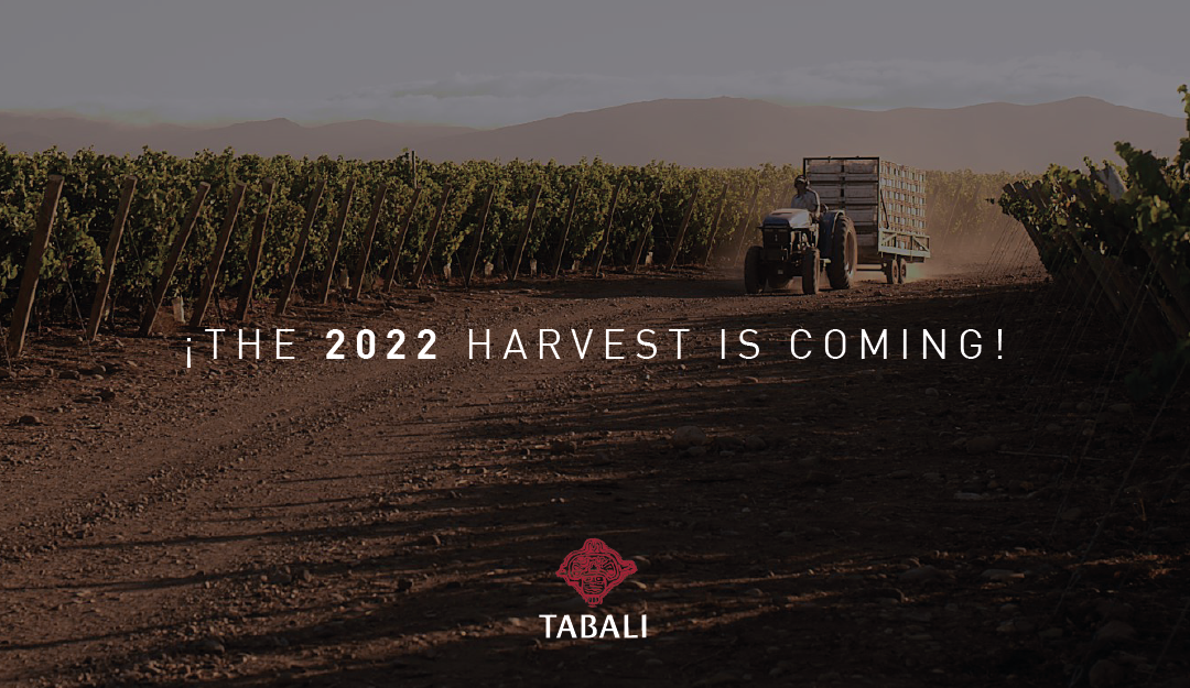 ¡The 2022 harvest is coming!