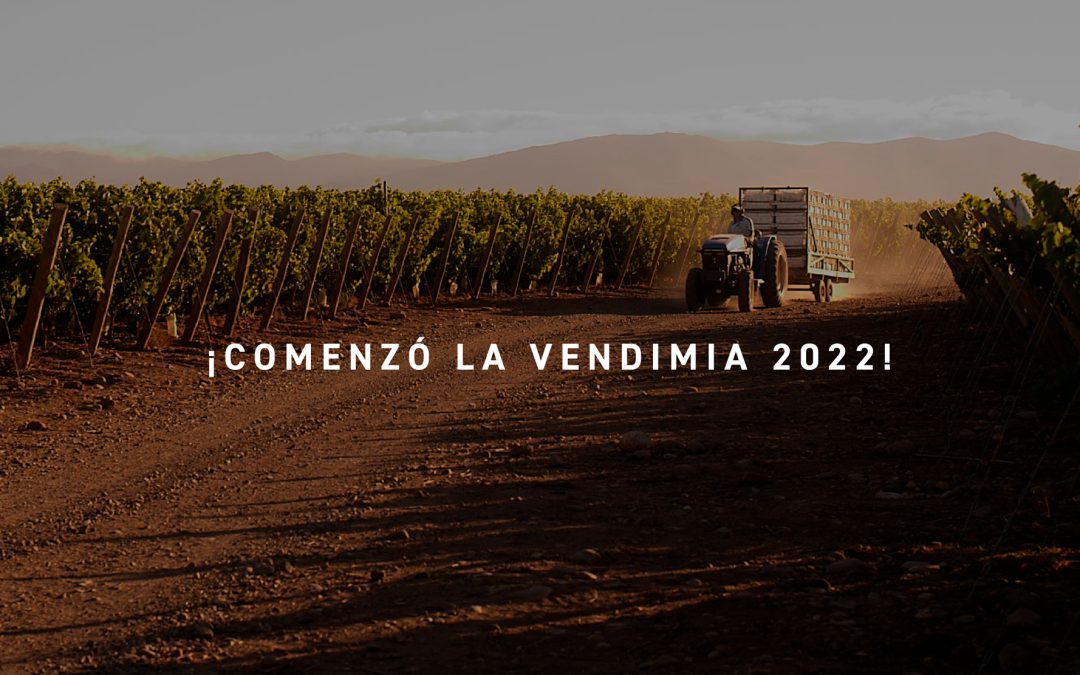 ¡Se acerca la vendimia 2022!